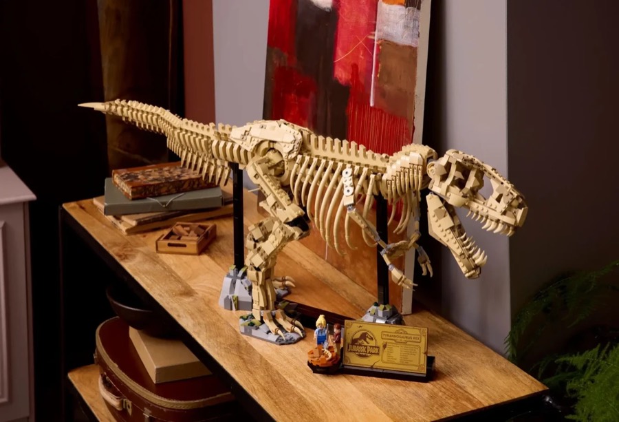 T-Rex — колекційний скелет тиранозавра — фото 4 (жива коробка)